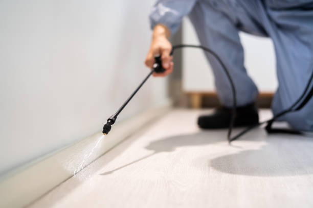 Bed Bug Pre-Treatment Preparation Assessment in Woodfield