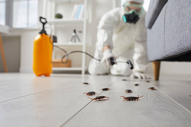 Post-Treatment Bed Bug Interceptor Monitoring in Woodfield