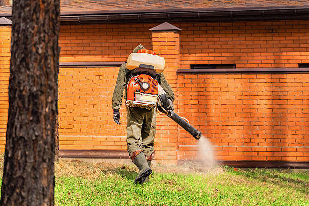 Bed Bug Clearance Verification and Documentation in Woodfield